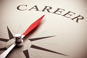 Career Counselling