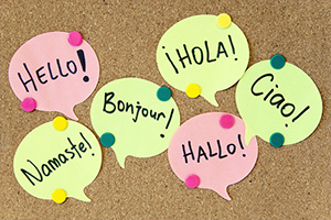 Foreign Language Classes