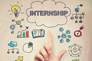 Summer Internship Programme